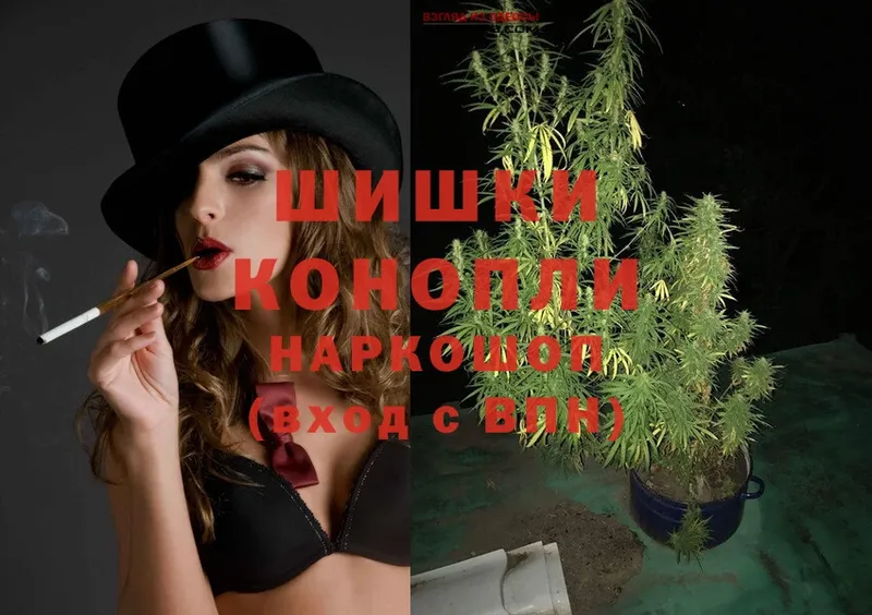 Каннабис OG Kush  Полысаево 